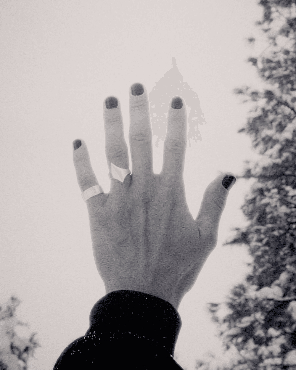 12YsBNqzrq9o5nhvPCfcsVST2s